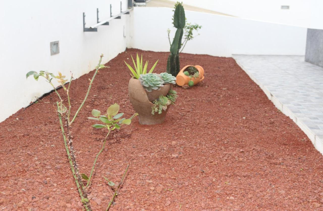 Casa Do Adro -Granel Villa Nordeste  Eksteriør billede
